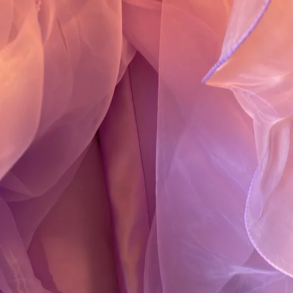 💜 Prom/Formal Gown - Picture 8 of 17